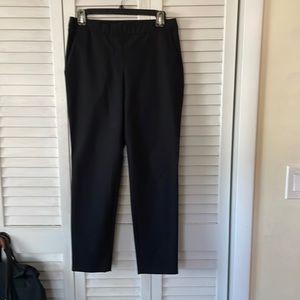 Theory Thaniel Approach Pant
